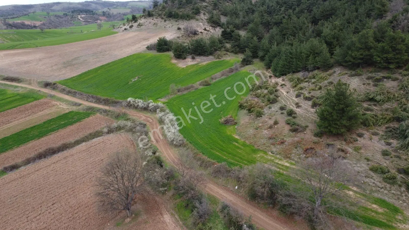 Karataş'tan Fırsat 10.000 M2 Emsalsiz Alaylı'da Merkeze 10 Dk