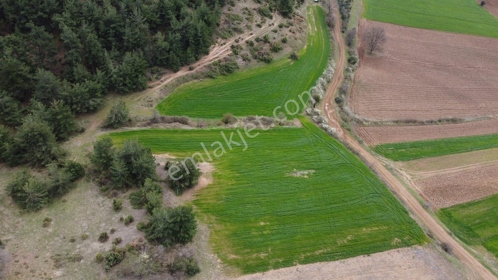 Karataş'tan Fırsat 10.000 M2 Emsalsiz Alaylı'da Merkeze 10 Dk - Görsel 4