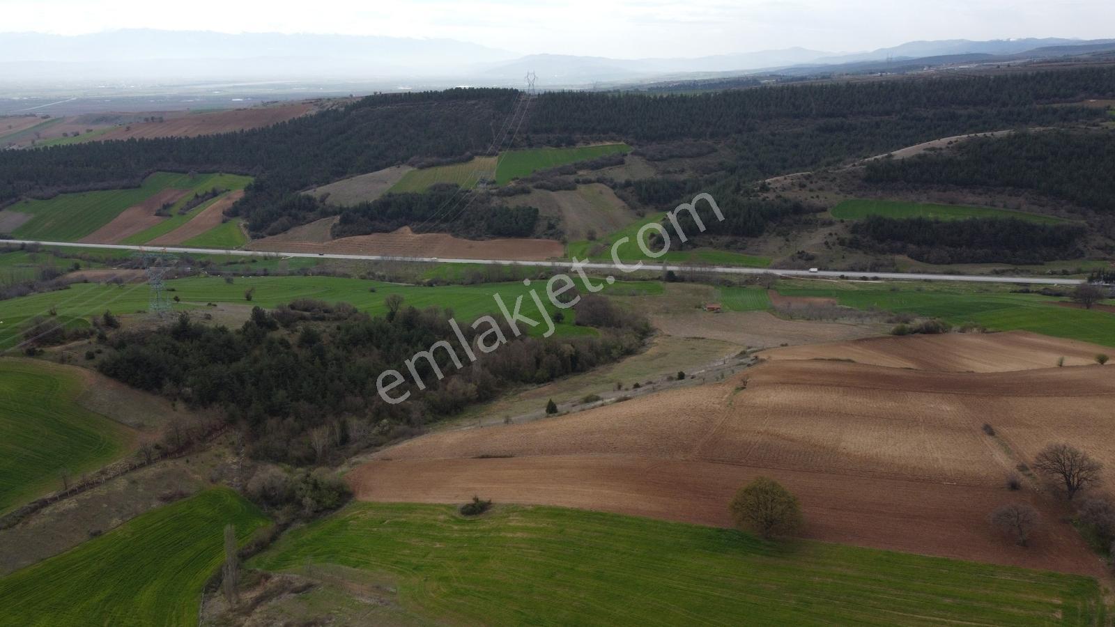Karataş'tan Fırsat 10.000 M2 Emsalsiz Alaylı'da Merkeze 10 Dk - Görsel 20