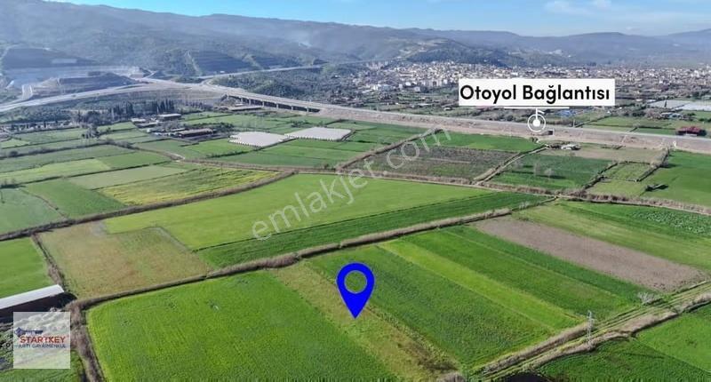 Aydın Yenipazar Hükümet Mahallesi 3.553 M2 Satılık Tarla - Görsel 5