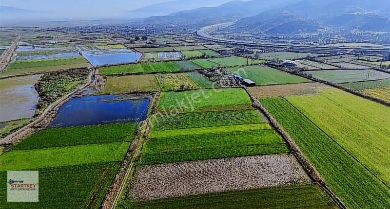 Aydın Yenipazar Hükümet Mahallesi 3.553 M2 Satılık Tarla - Görsel 6