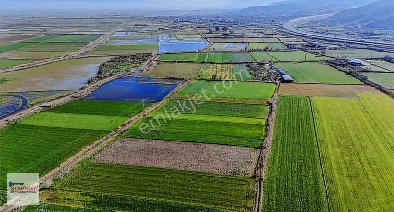 Aydın Yenipazar Hükümet Mahallesi 3.553 M2 Satılık Tarla - Görsel 14