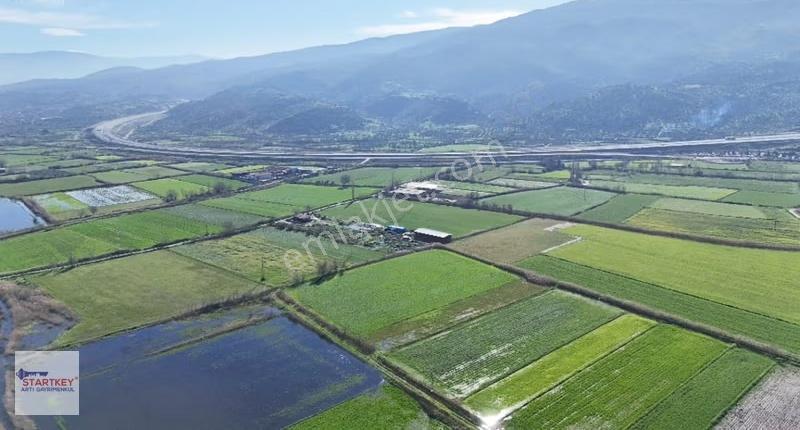 Aydın Yenipazar Hükümet Mahallesi 3.553 M2 Satılık Tarla - Görsel 7