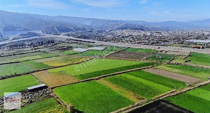 Aydın Yenipazar Hükümet Mahallesi 3.553 M2 Satılık Tarla - Görsel 3