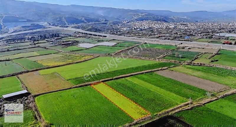 Aydın Yenipazar Hükümet Mahallesi 3.553 M2 Satılık Tarla