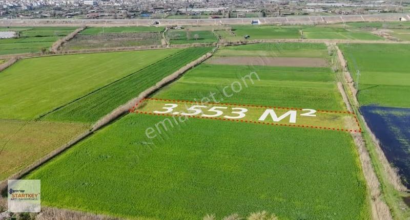 Aydın Yenipazar Hükümet Mahallesi 3.553 M2 Satılık Tarla - Görsel 18