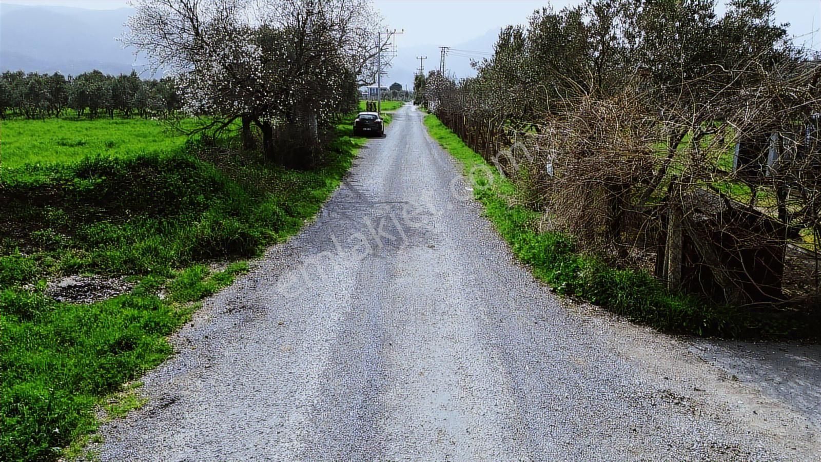 Kemalpaşa Ören 75. Yıl Cumhuriyet Mah. 3467 M² Satılık Tarla - Görsel 25