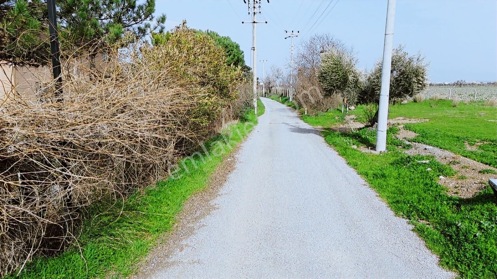 Kemalpaşa Ören 75. Yıl Cumhuriyet Mah. 3467 M² Satılık Tarla - Görsel 24