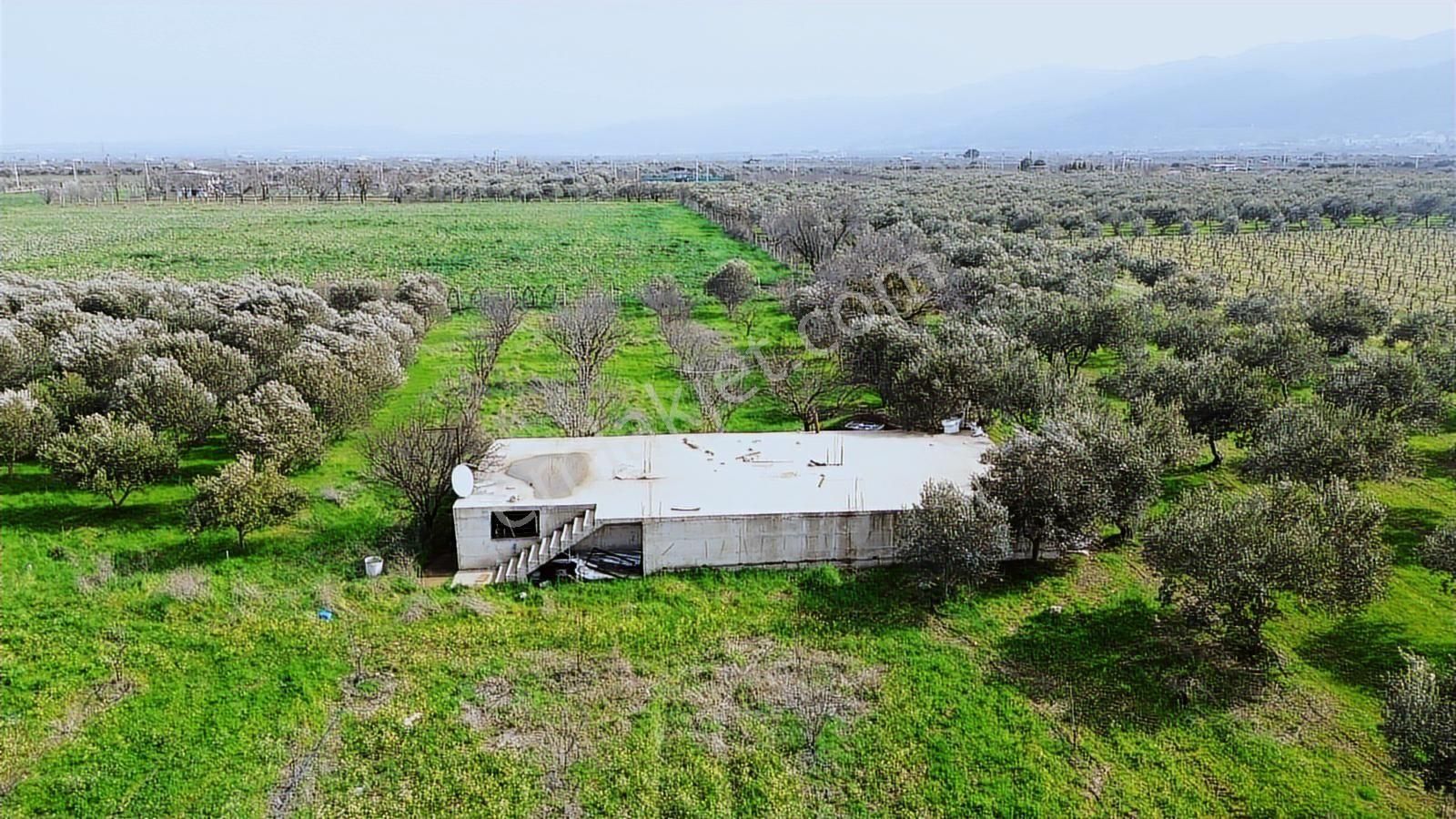 Kemalpaşa Ören 75. Yıl Cumhuriyet Mah. 3467 M² Satılık Tarla - Görsel 12