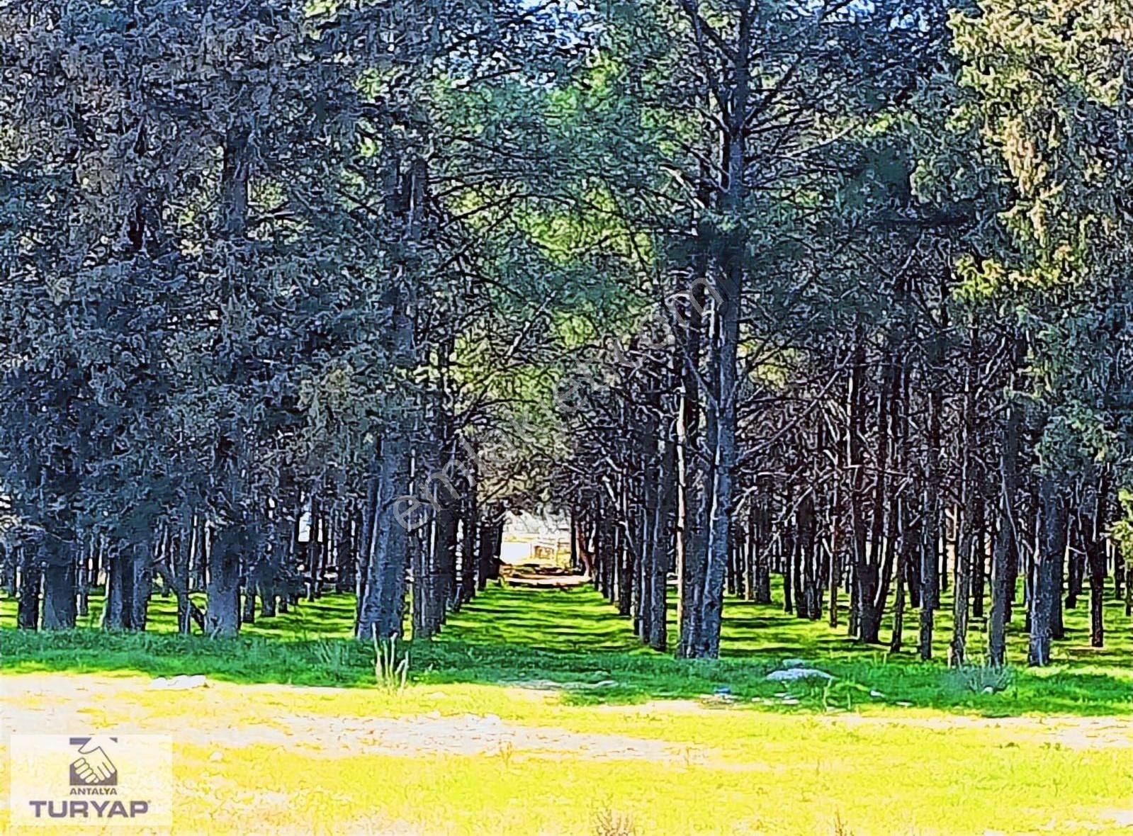 Konyaaltı Koru Flats Satılık (son) Dubleks 2+1 Daire - Görsel 19