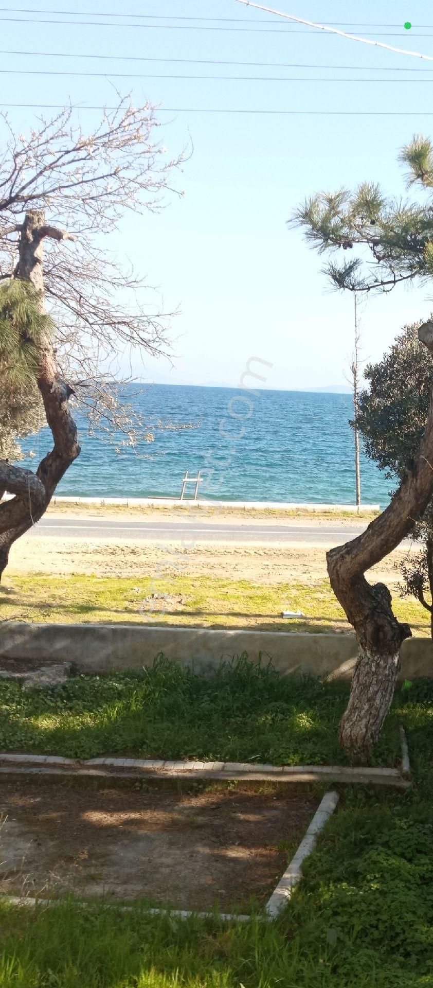 Bilge Emlak'tan Şarköy Mürefte'de Denize Sıfır Yalı Daire - Görsel 2