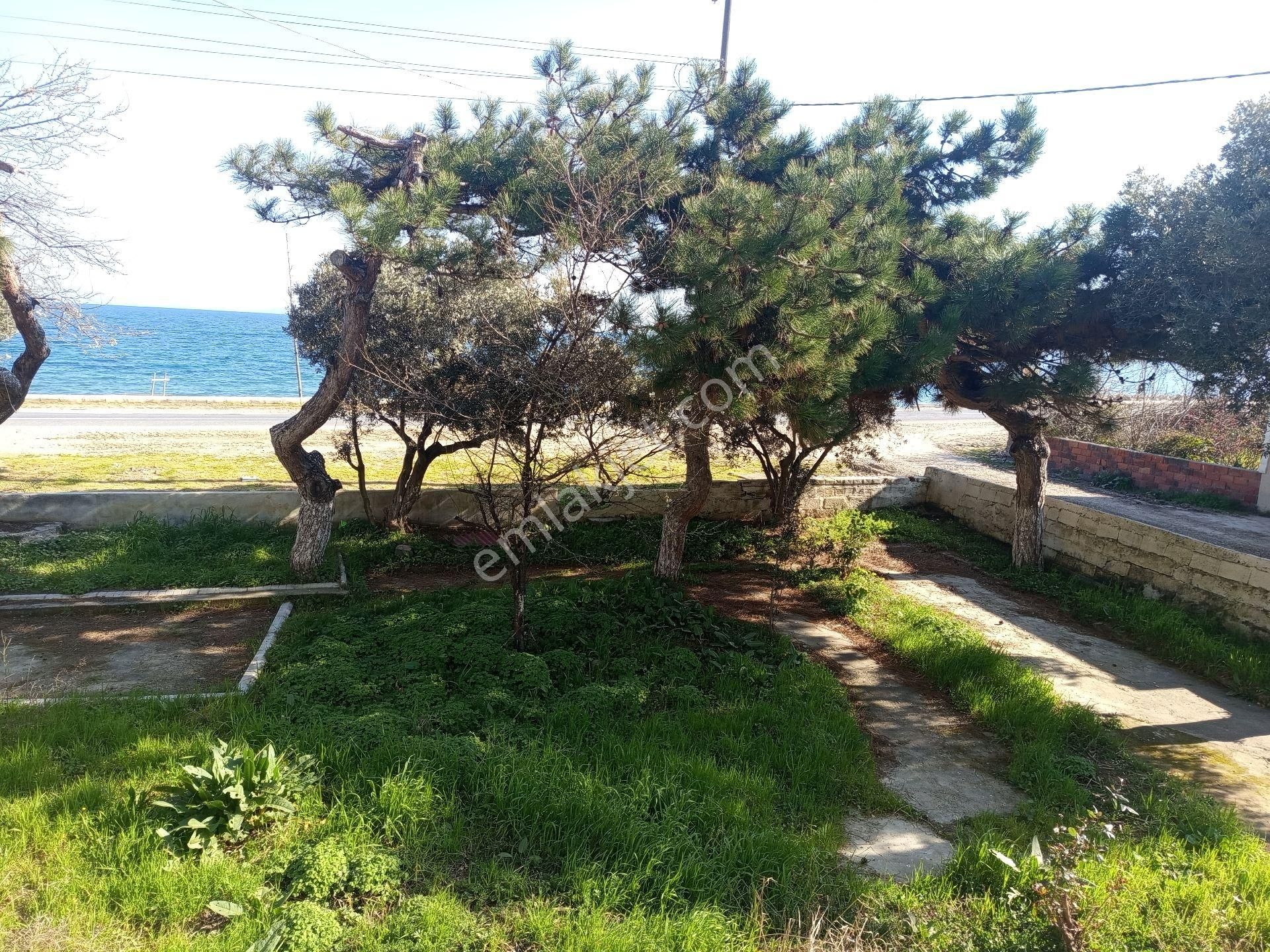 Bilge Emlak'tan Şarköy Mürefte'de Denize Sıfır Yalı Daire - Görsel 7