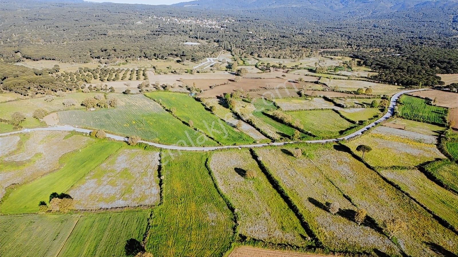 Bergama Kozak Yaylası'nda Anayol Cepheli 7.931 M² Satılık Arazi - Görsel 12