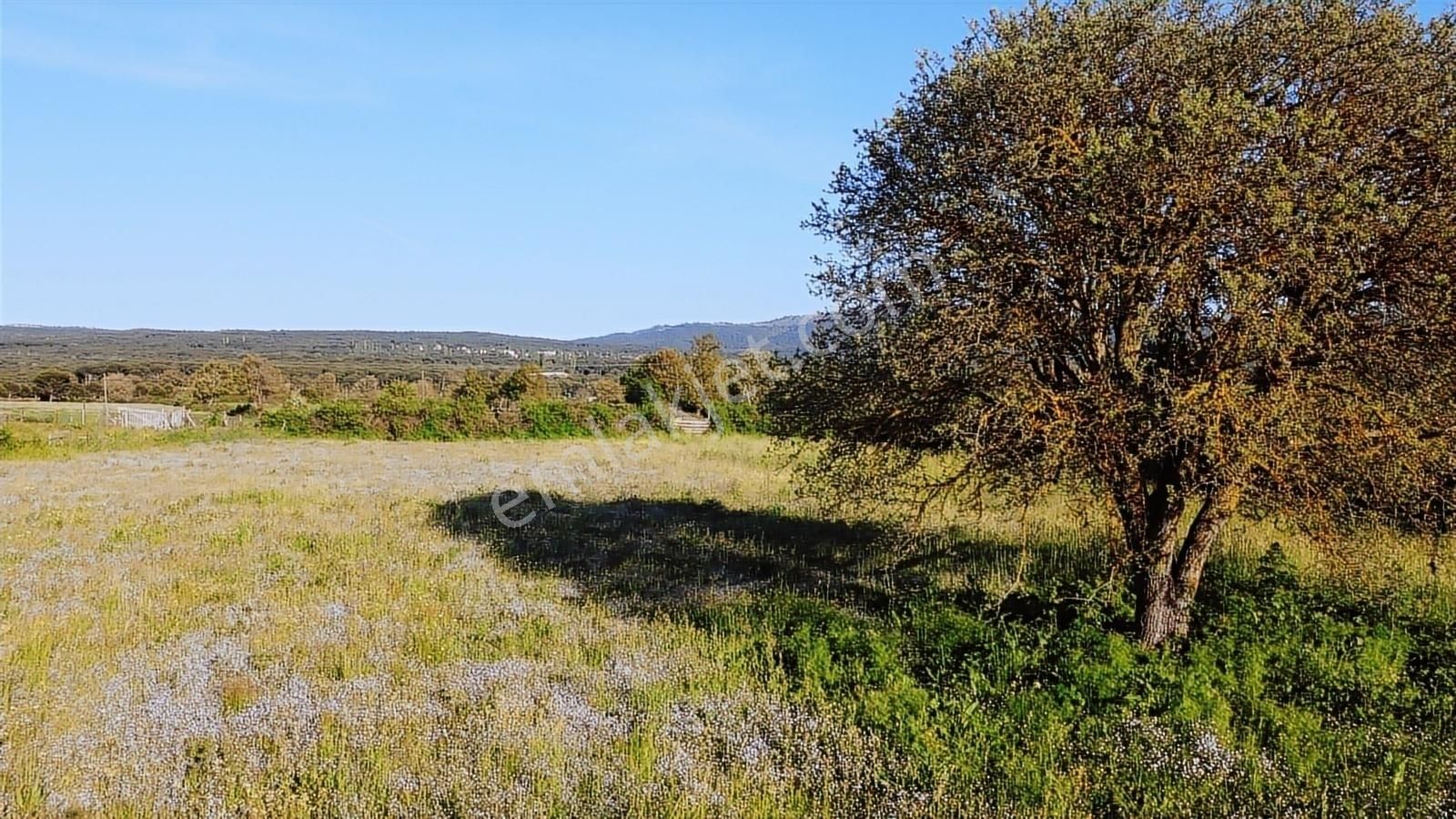 Bergama Kozak Yaylası'nda Anayol Cepheli 7.931 M² Satılık Arazi - Görsel 13