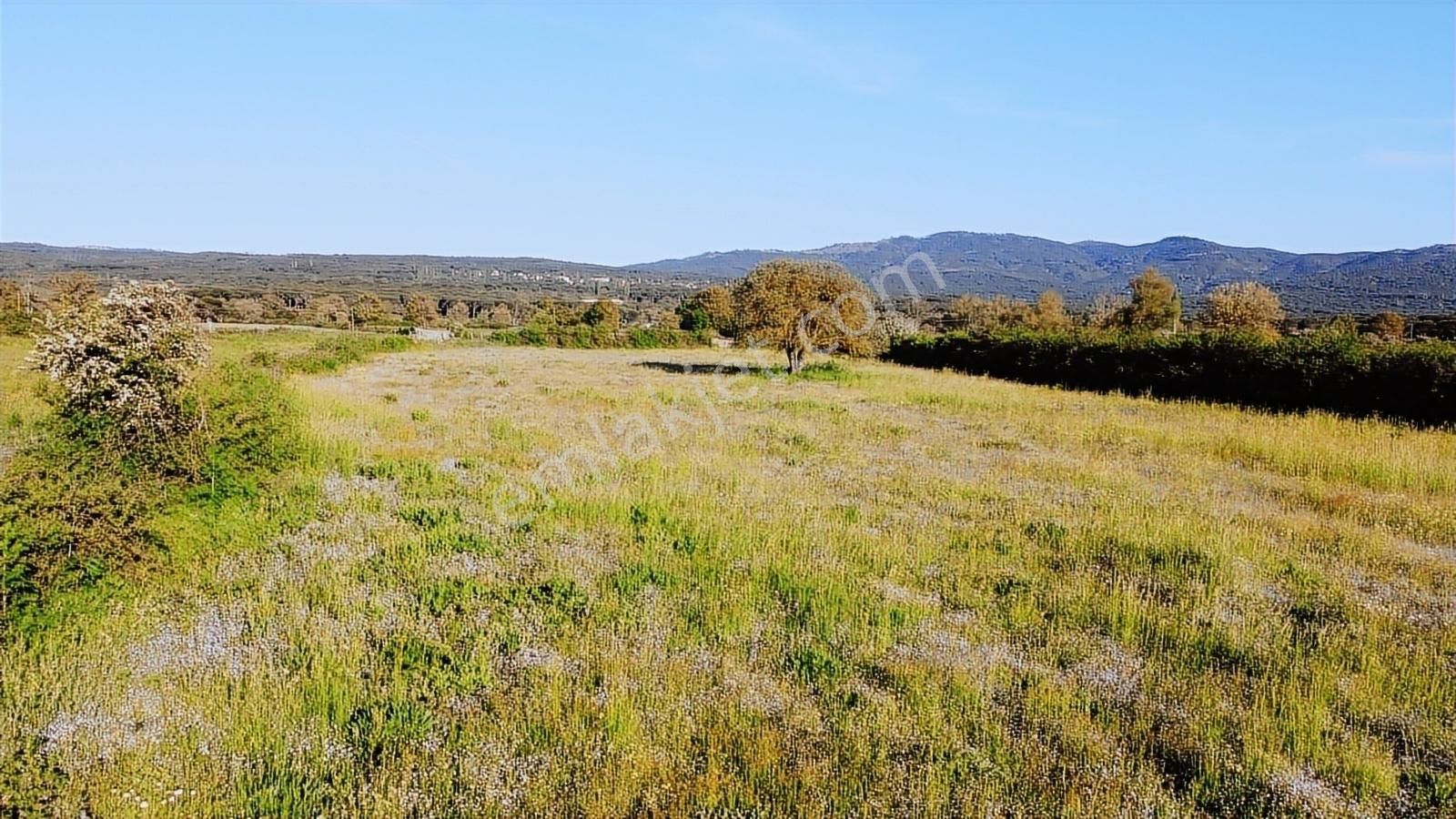 Bergama Kozak Yaylası'nda Anayol Cepheli 7.931 M² Satılık Arazi - Görsel 2