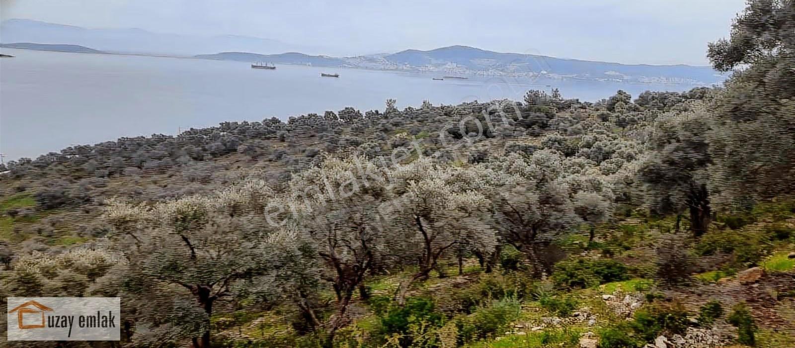 Milas Kıyıkışlaçık'da Satılık İmarlı Arsa - Görsel 2