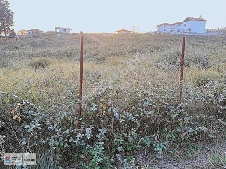 Konut Atölyesi Hüseyin Şenden Kandıra Çamkonakta Fırsat Tarla - Görsel 5