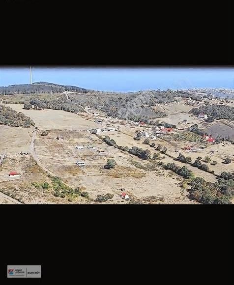 Konut Atölyesi Hüseyin Şenden Kandıra Çamkonakta Fırsat Tarla - Görsel 4