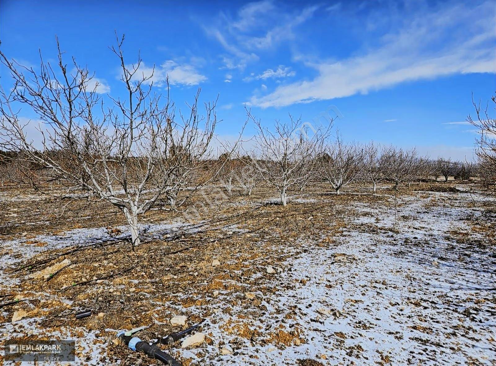 Emlakparkdan Satılık 18.000 M² Yola Cepheli Ceviz Badem Bahçesi - Görsel 14