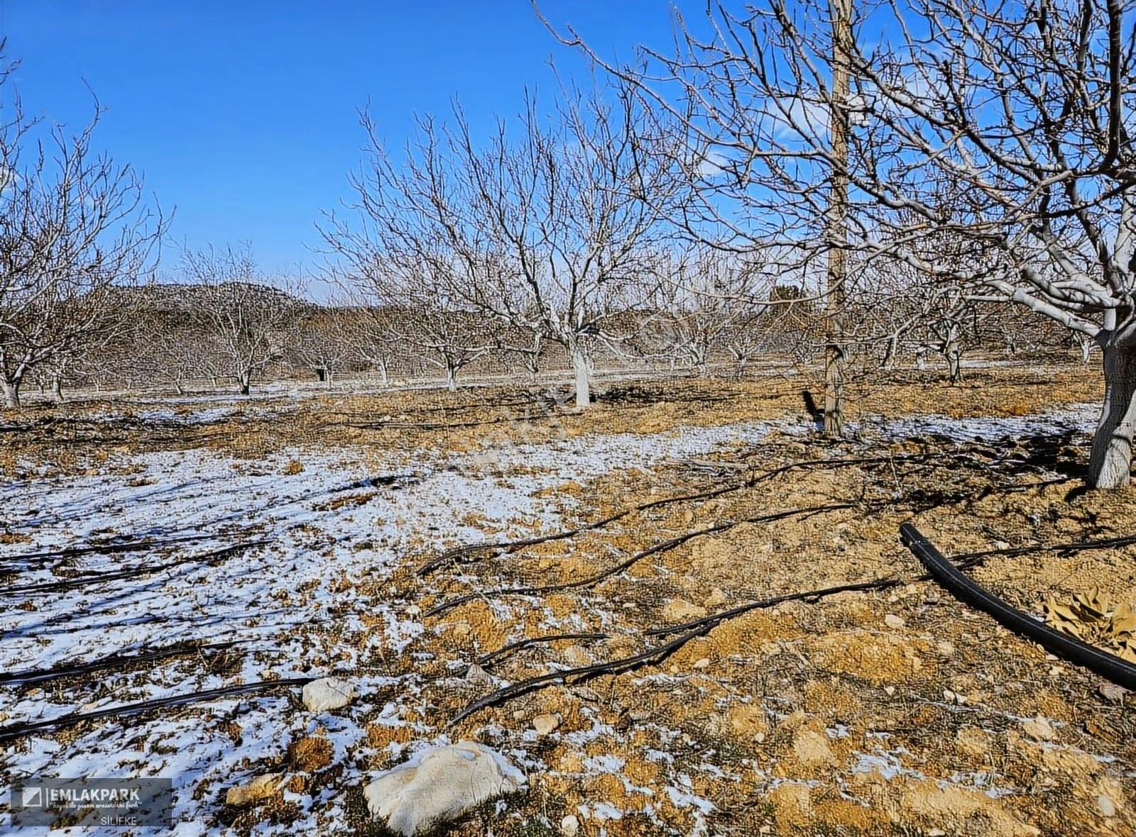 Emlakparkdan Satılık 18.000 M² Yola Cepheli Ceviz Badem Bahçesi - Görsel 20