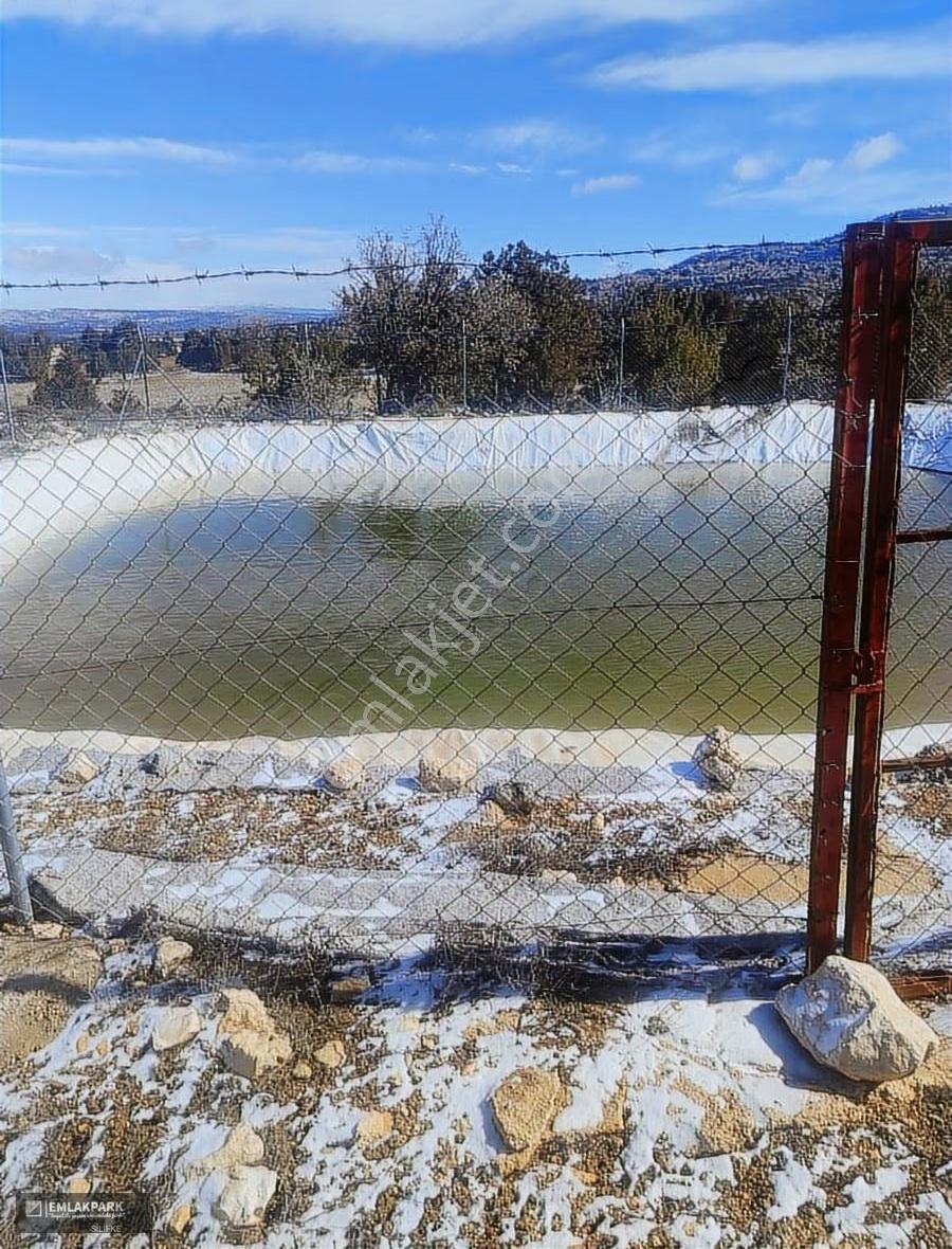 Emlakparkdan Satılık 18.000 M² Yola Cepheli Ceviz Badem Bahçesi - Görsel 3