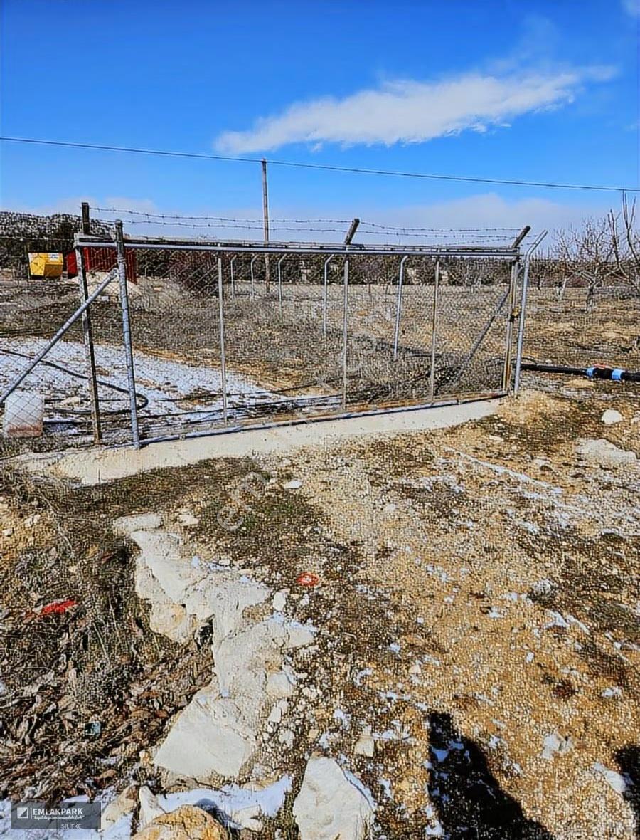 Emlakparkdan Satılık 18.000 M² Yola Cepheli Ceviz Badem Bahçesi - Görsel 12