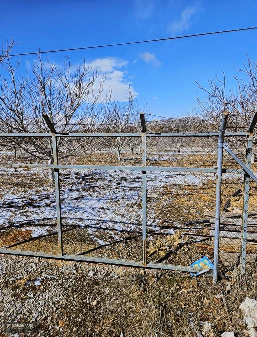 Emlakparkdan Satılık 18.000 M² Yola Cepheli Ceviz Badem Bahçesi - Görsel 21