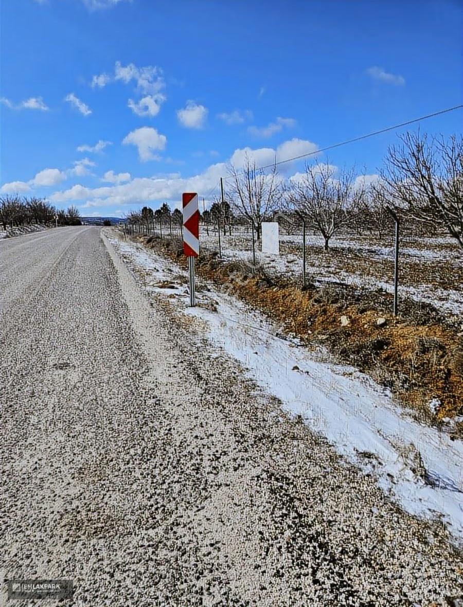 Emlakparkdan Satılık 18.000 M² Yola Cepheli Ceviz Badem Bahçesi - Görsel 6