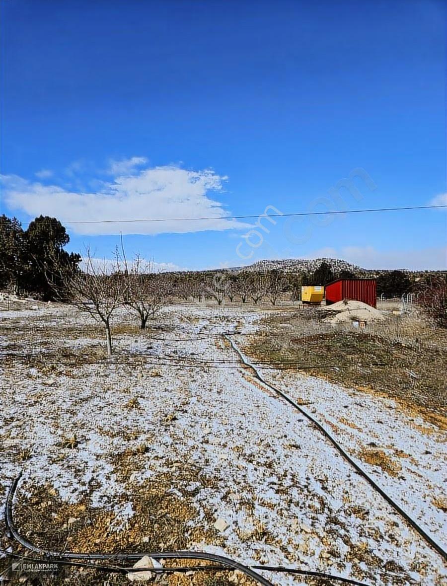 Emlakparkdan Satılık 18.000 M² Yola Cepheli Ceviz Badem Bahçesi - Görsel 18