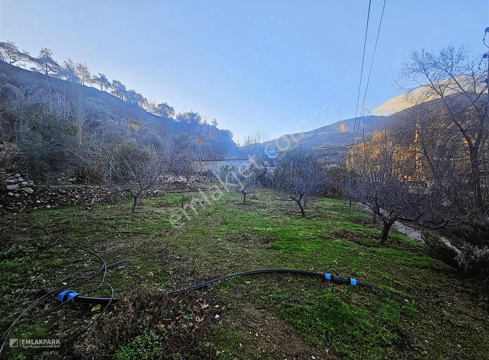 Emlakparktan Silifkeye Yakın Bahçeli Köy Evi - Görsel 10