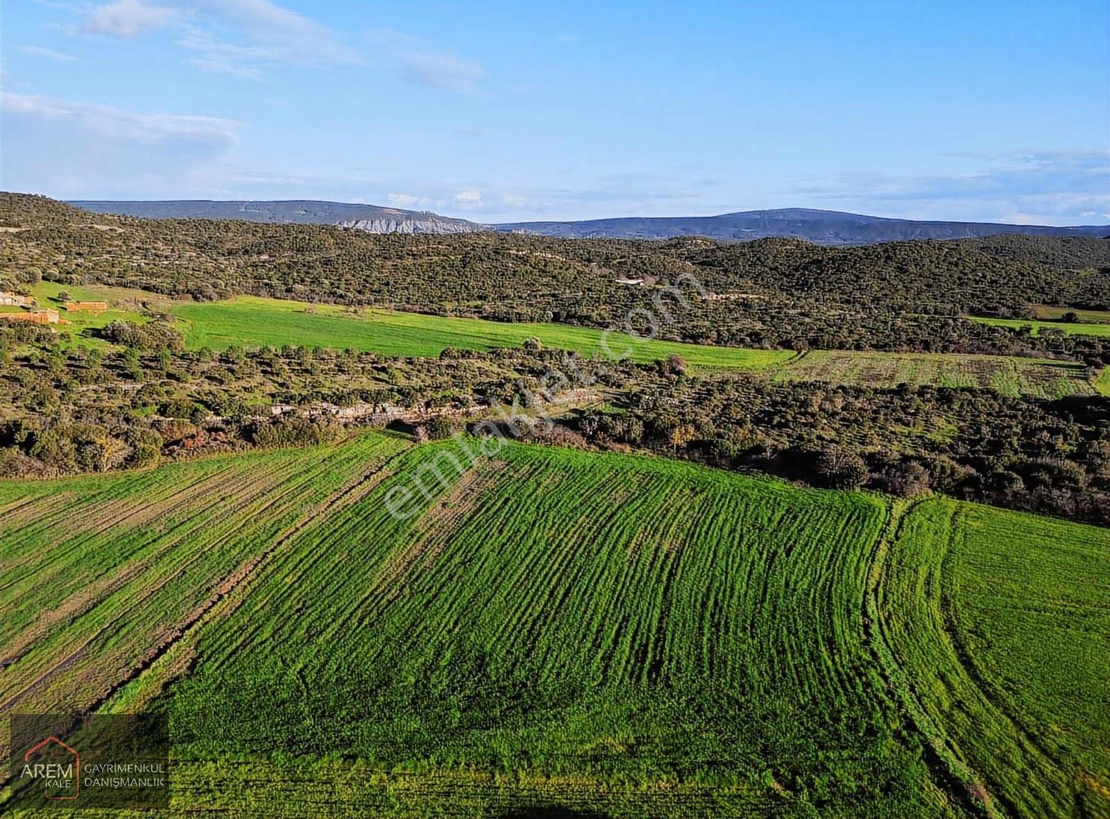 Gelibolu Karainebeyli Köyü 5.300 M² Satılık Tarla