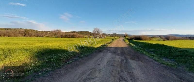 Gelibolu Karainebeyli Köyü 5.300 M² Satılık Tarla - Görsel 6