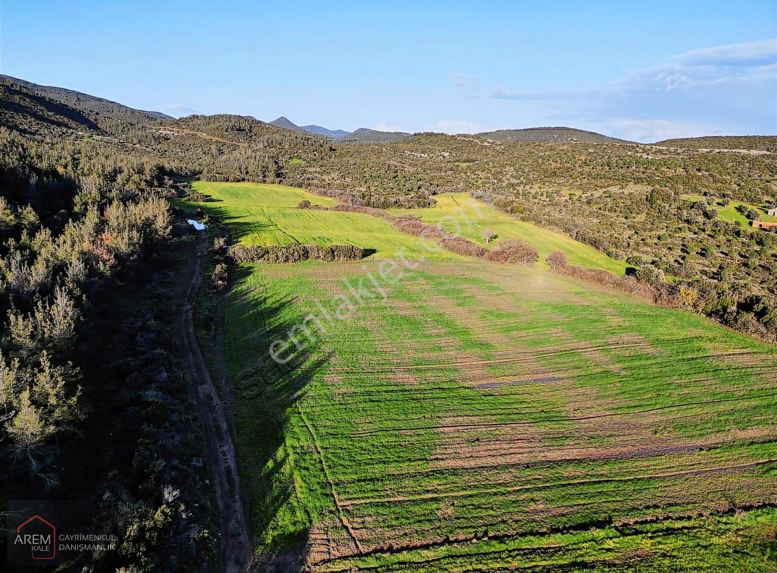 Gelibolu Karainebeyli Köyü 5.300 M² Satılık Tarla - Görsel 25