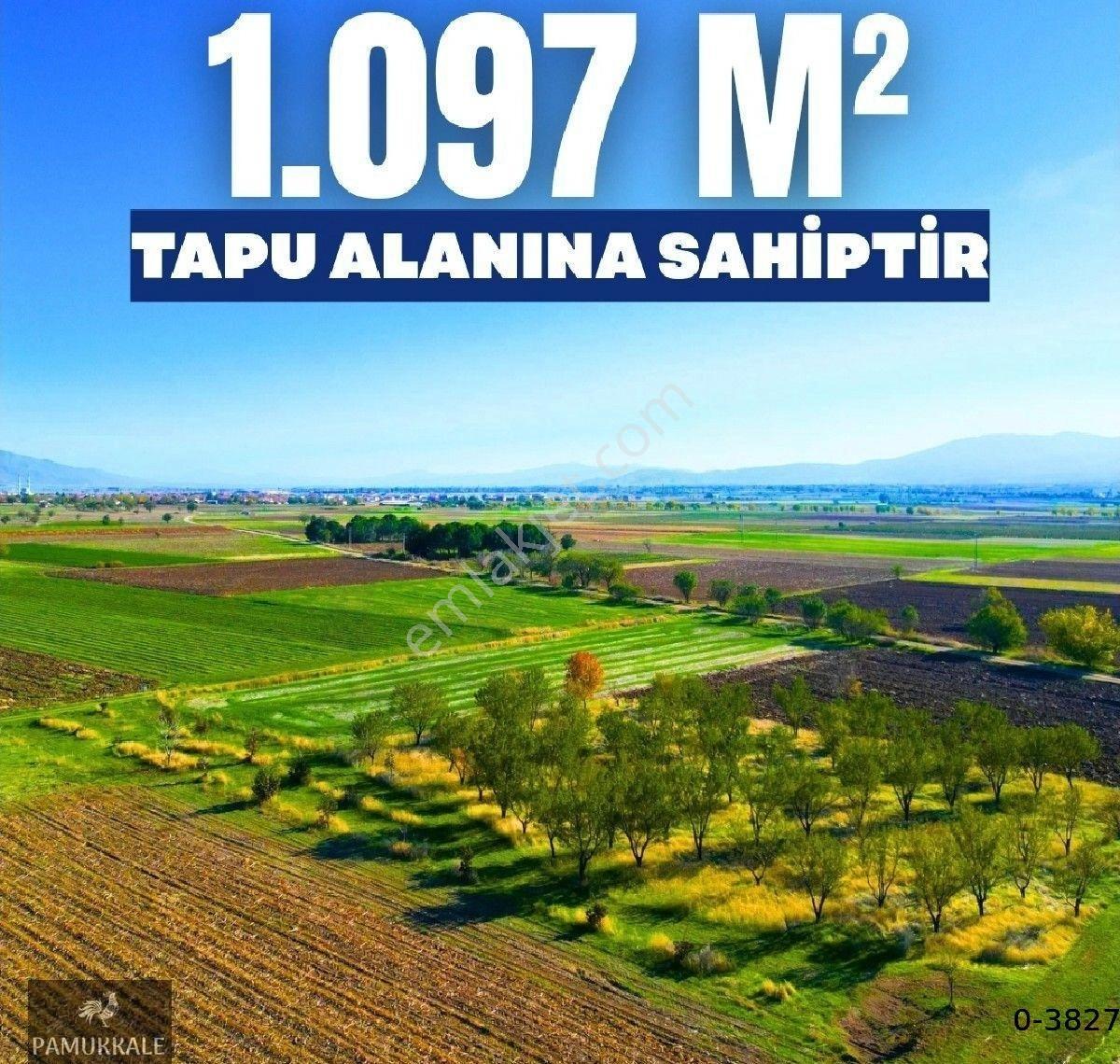 Yassıhöyükte Kaçırılmayacak Fırsat - Görsel 3