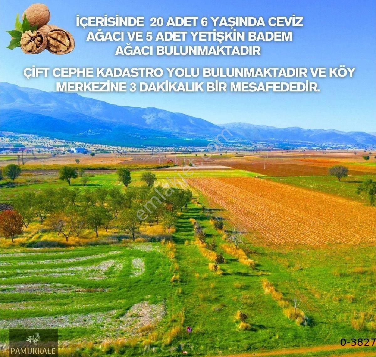 Yassıhöyükte Kaçırılmayacak Fırsat - Görsel 10