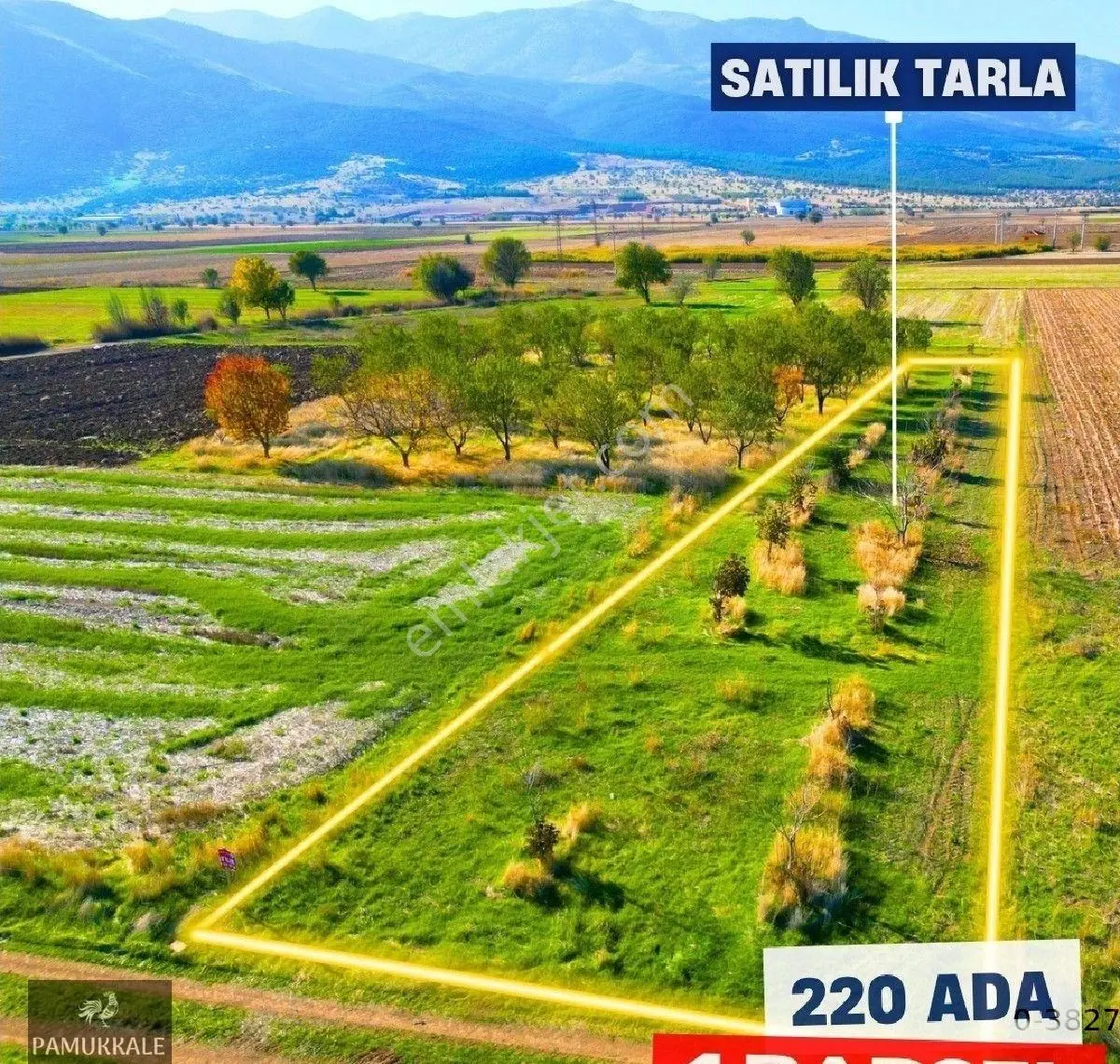Yassıhöyükte Kaçırılmayacak Fırsat