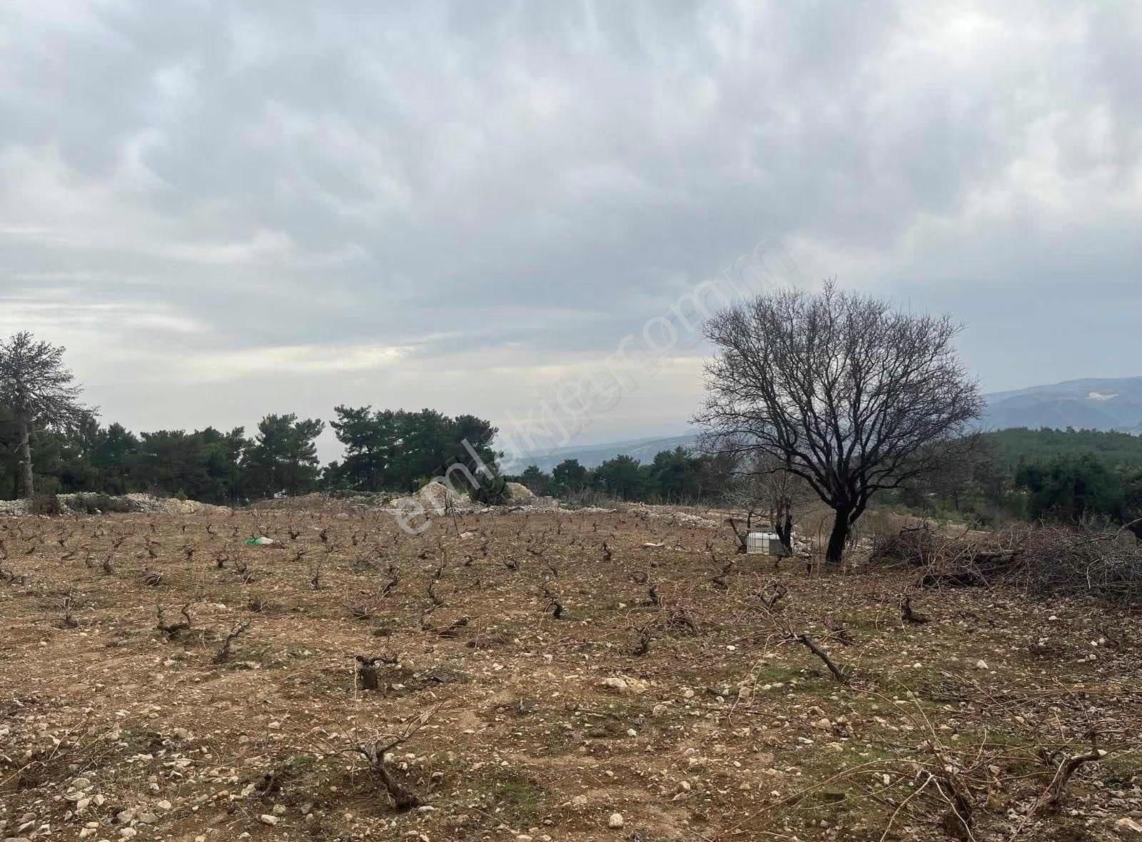 Silifke Bayındır Mah Önü Kapanmayan Manzaralı Bağçe - Görsel 10