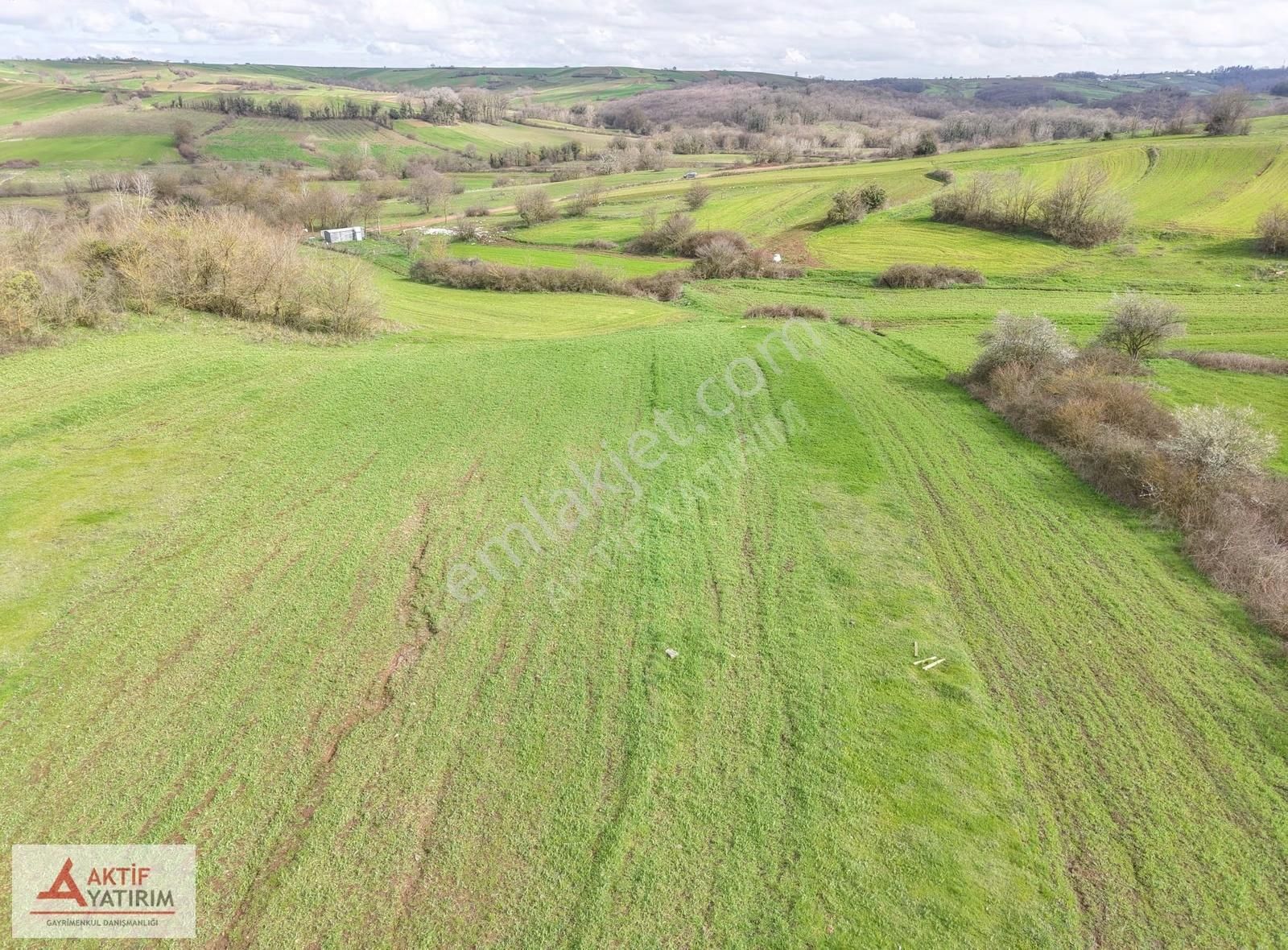 Kandıra'ya Yakın Balcı'da 326 M2 Toprak Reformu İçinde Tarla - Görsel 24