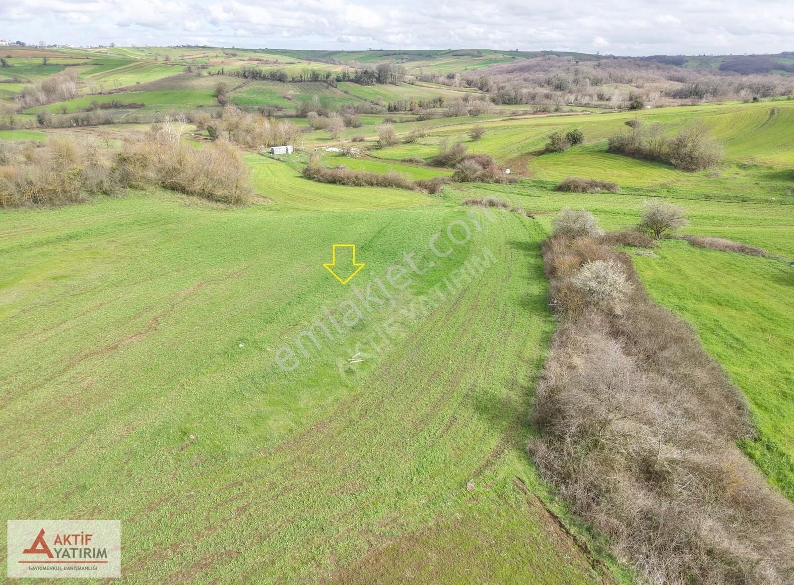 Kandıra'ya Yakın Balcı'da 326 M2 Toprak Reformu İçinde Tarla - Görsel 7