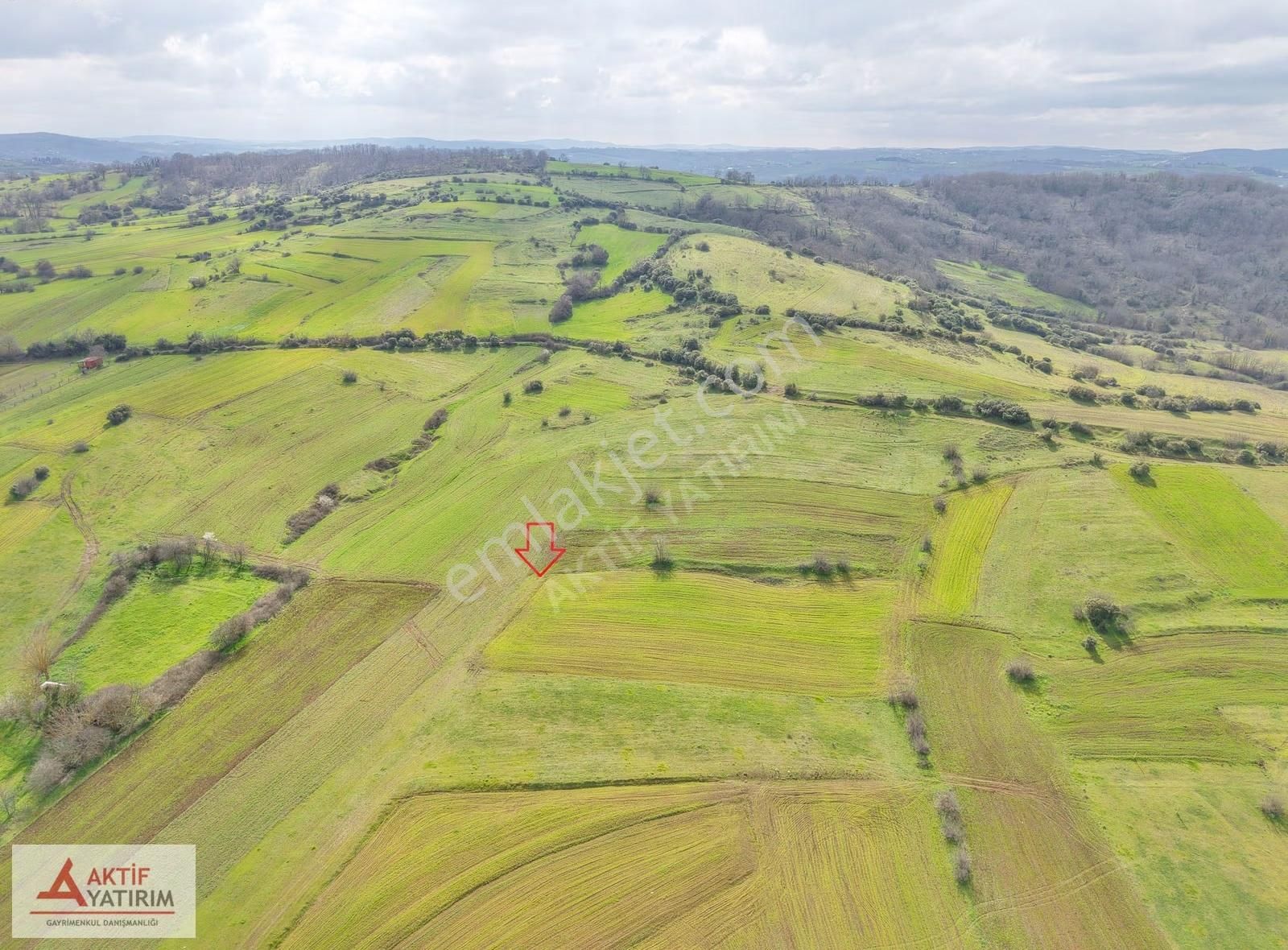 Kandıra'ya Yakın Balcı'da 363 M2 Toprak Reformu İçinde Tarla - Görsel 34