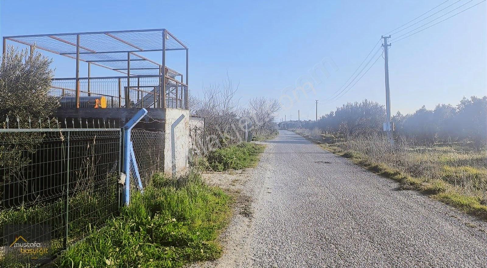 Mustafa Başyiğit Emlak'tan Süleymanlıda 3800m2 Elektrik,su,tarla - Görsel 18