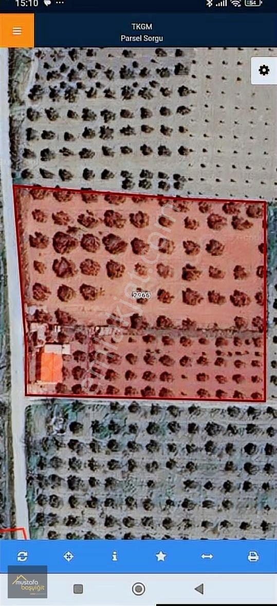 Mustafa Başyiğit Emlak'tan Süleymanlıda 3800m2 Elektrik,su,tarla - Görsel 3