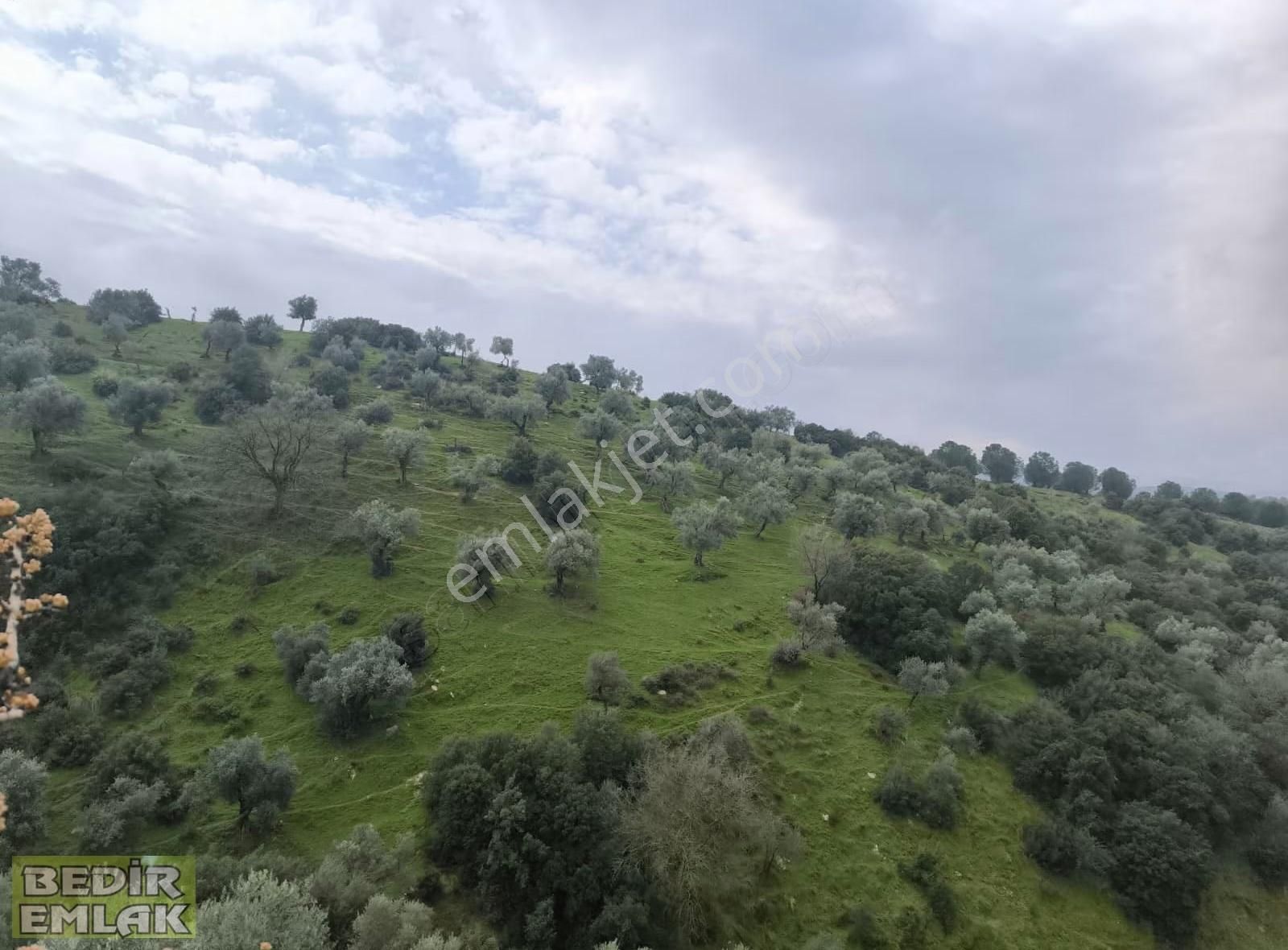 * Baltaköy | Prestijli Villa Bölgesinde 3.634 M² Tek Tapu* - Görsel 13