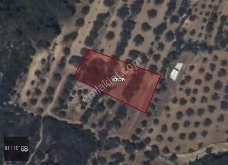 Urla Barbaros Mahallesinde Satılık Tarla