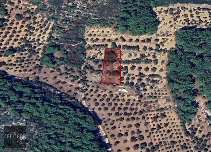 Urla Barbaros Mahallesinde Satılık Tarla - Görsel 2