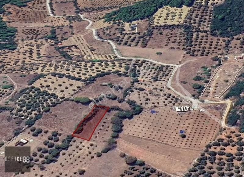 Urla Barbaros Köyü'nde Satılık Tarla