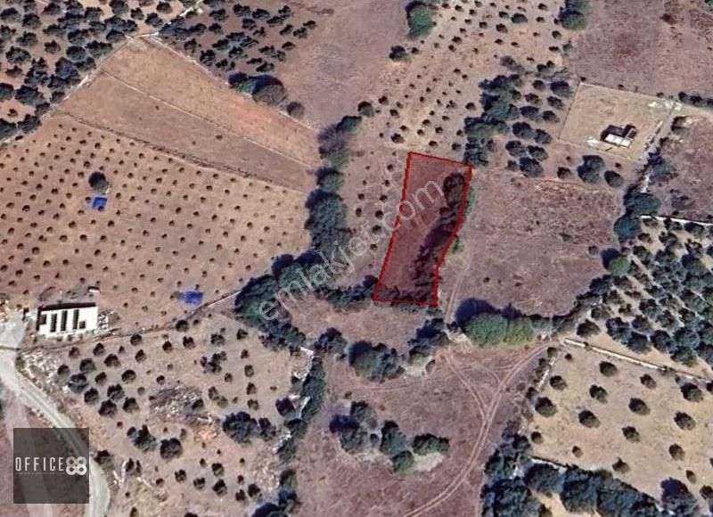 Urla Barbaros Köyü'nde Satılık Tarla - Görsel 3