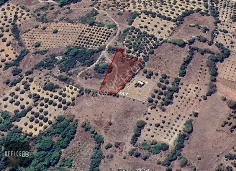 Urla Barbaros Köyü'nde Satılık Tarla - Görsel 2
