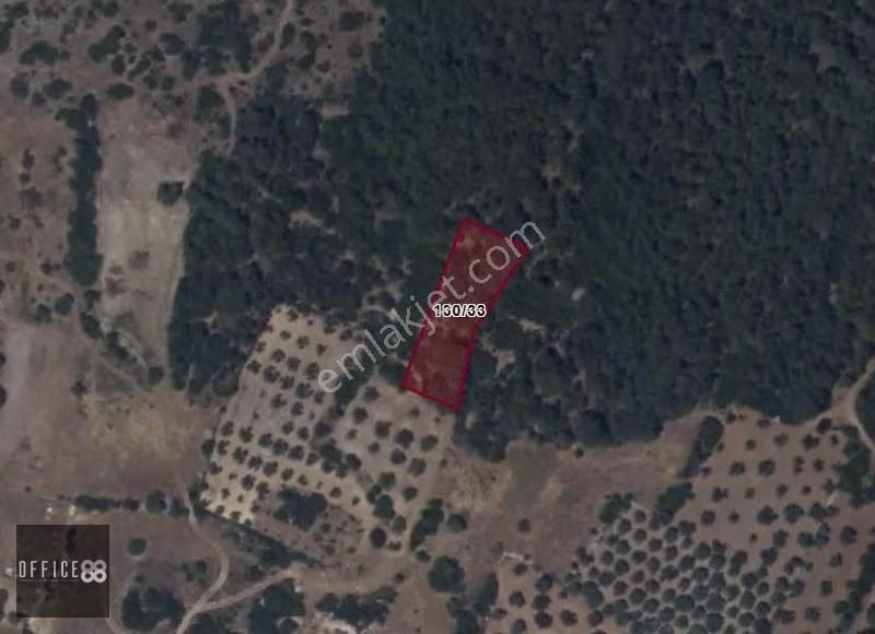 Urla Barbaros Köyü'nde Satılık Tarla