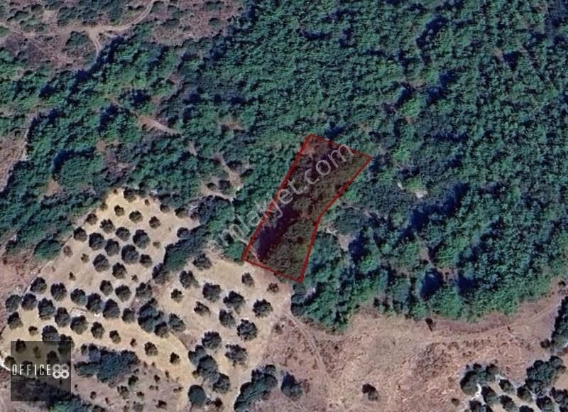 Urla Barbaros Köyü'nde Satılık Tarla - Görsel 2